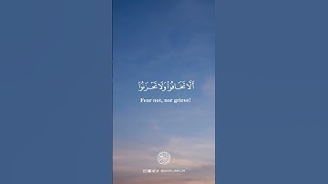 سورة فصلت - الآية [30-31] - الجزء الـ 24القارئ : أحمد النفيس