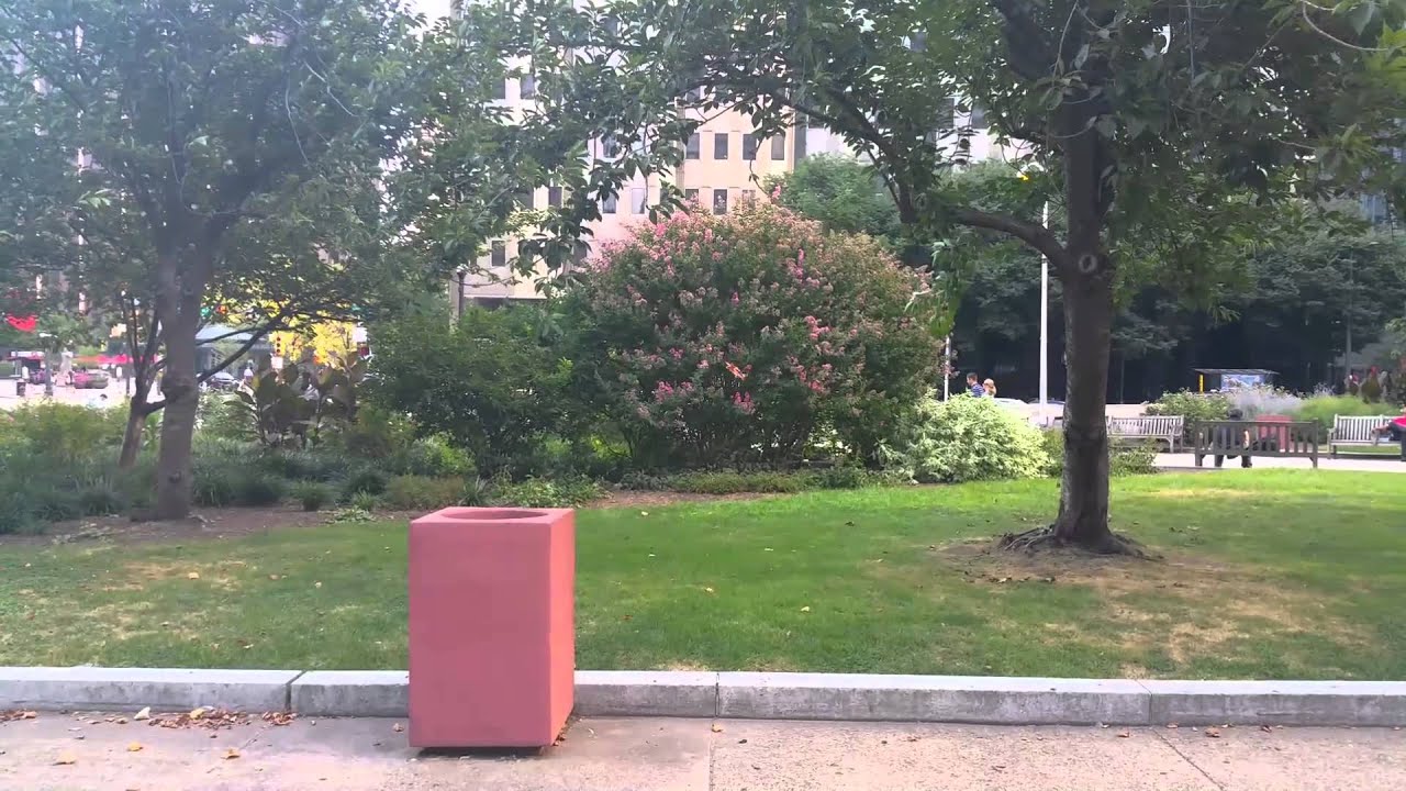 Sky Dreamer Plus Outdoor Circuits