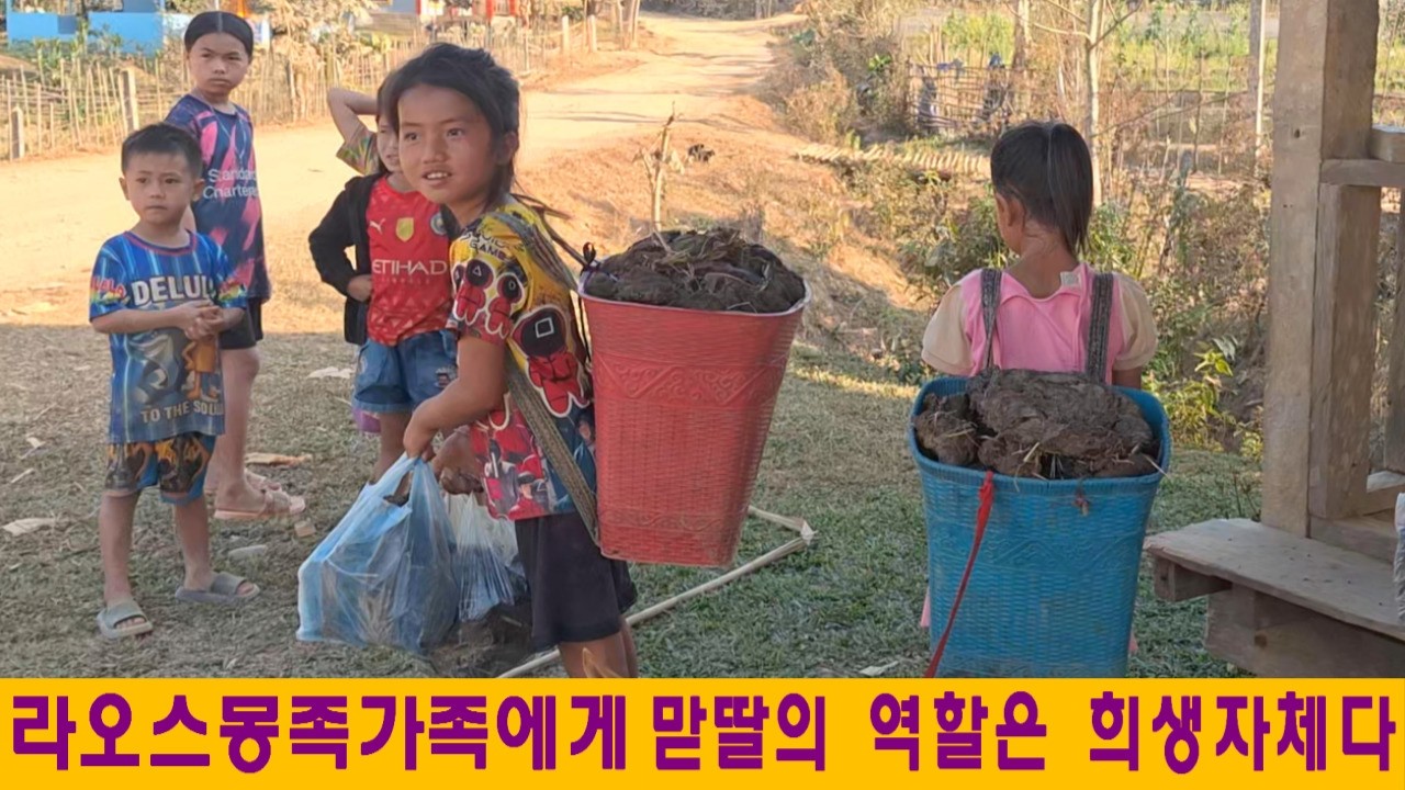 얻집(7):가난한 라오스 몽족가족에게 맏딸의 역할은 희생의 삶(민순홍님 후원, feat:이상일님 과자후원)