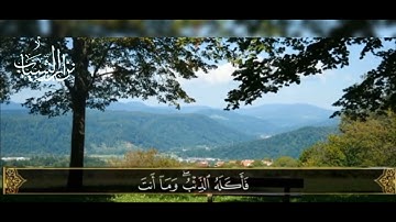 وجاءوا أباهم عشاء يبكون _ سورة يوسف _ مقام الحجاز _  نزار الشياب