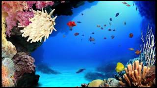 DigiFish Aqua Real 2 1080p Screensaver
