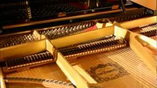 Mozart - Violin Sonata No. 21 in E minor, K. 304 [complete]