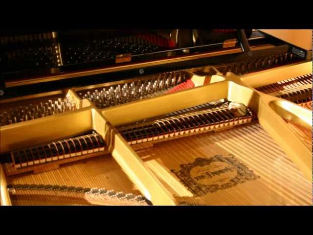 Mozart - Violin Sonata No. 21 in E minor, K. 304 [complete] - YouTube