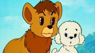 Simba  The King Lion | سيمبا  الأسد الملك | حلقة كاملة 20 | رسوم متحركة للأطفال باللغة العربية