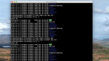 How to Change Groups of Files and Directories in ubuntu 18.04