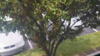 VID 20130516 113143 397