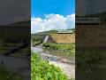 高知県の夏が素敵なんです！田舎は好きですか？ #高知 #田舎暮らし #夏休み #ジブリ #アニメ
