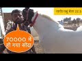 देखिये कैसे होता है सोदा 70 हजार में बिकीं ये घोड़ी ||nagaur cattle fair 2019