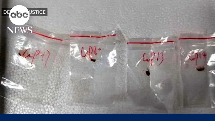 2 Chinese nationals arrested for smuggling ‘potential agroterrorism’ fungus