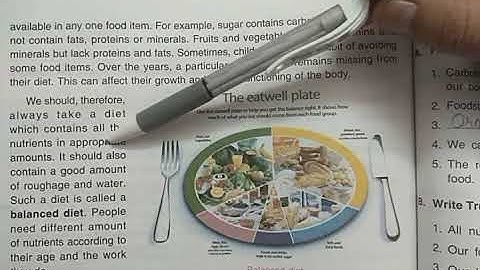 DAV Nahan Class-IV Science Lesson-7, Part-8