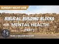 Biblical Building Blocks for Mental Health - Part 1