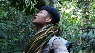 30 Ngày Thử Thách Sinh Tồn Trong Rừng | Ngày 1 | 30 Days solo Survival - Wilderness Alone.