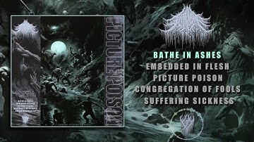 FATHOM - PICTURE POISON [OFFICIAL EP STREAM] (2024) SW EXCLUSIVE