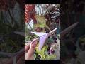 5 minute paper craft🛩😍/ Diy Aeroplane craft🛫❤️ #shorts #artandcraft #youtubeshorts