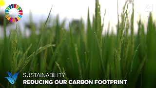 Sustainability. Reducing our carbon footprint