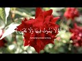 سورة الأعلى بصوت الشيخ عبد الرحمن مسعد سورة الأعلى بصوت الشيخ عبد الرحمن مسعد