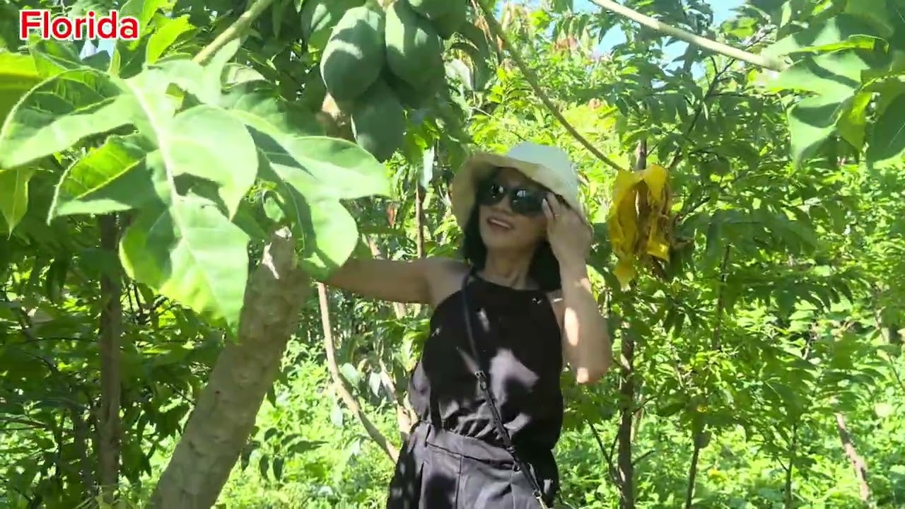 #3 Ngày 3 ở Florida 