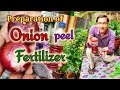 Preparation of best quality Onion Peel Fertilizer absolutely Free of Cost