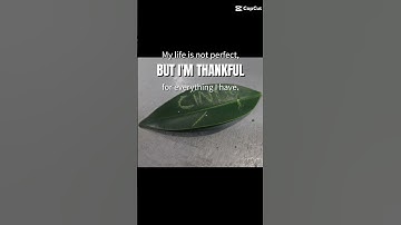 bitnest Cindy from uk #bitnest #bitnestloop #cryptocurrency #bitcoin #crypto