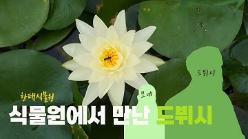 자연을 사랑한 예술가 드뷔시 [아르케컬처의 클래시컬 뮤지엄]