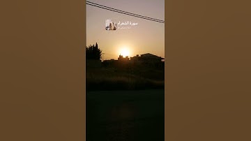 #اسلام_صبحي #سورة_الشعراء #القرآن_الكريم #المصحف #اكسبلور #راحة_نفسية