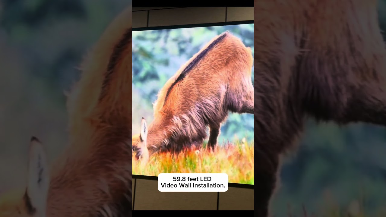 60 Feet Video Wall Installation