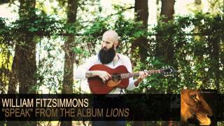 Watch William Fitzsimmons Speak video