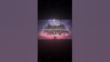 سورة النساء|110|القارئ:#محمد_اللحيدان #قران #quran #راحة_نفسية #قران_كريم #تلاوة_هادئة ##تلاوة_خاشعة