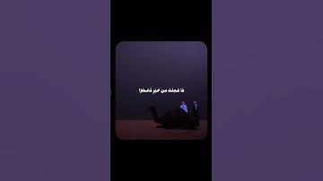 تلاوة هادئة للقرآن الكريم بصوت جميل #قران_كريم #تلاوة_خاشعة #تلاوة_هادئة #قرآن