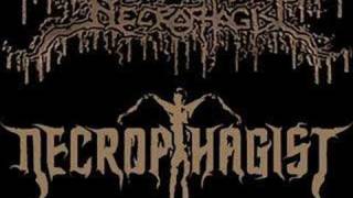 Necrophagist-Advanced Corpse Tumor
