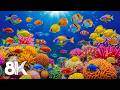 Marvel at the Wonders of Sea Creatures — Relaxing Underwater World in 8K ULTRA HD