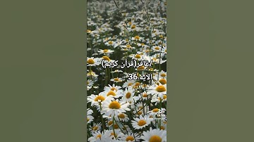 سورة غافر - الآية 39:"يَا قَوْمِ إِنَّمَا هَذِهِ الْحَيَاةُ الدُّنْيَا مَتَاعٌ ۖ وَإِنَّ الْآخِرَةَ