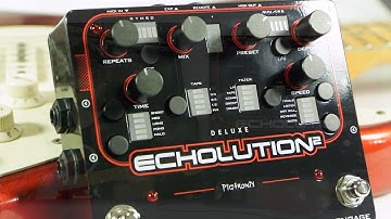 Pigtronix Deluxe Echolution 2 Stereo