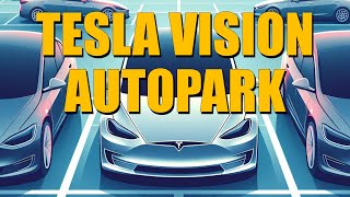 Tesla Software Update Brings VISION Autopark to Ultrasonic Cars: Let's Test it Out! screenshot 5