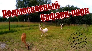 Подмосковный Сафари парк. 29.07.2023