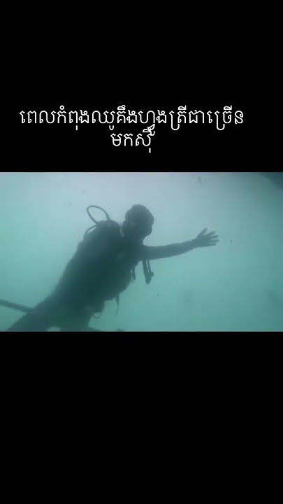 #PADI#Openwatercourse#confinedwater #divingcambodia#Scubacambodia#khmerdiveclub#148