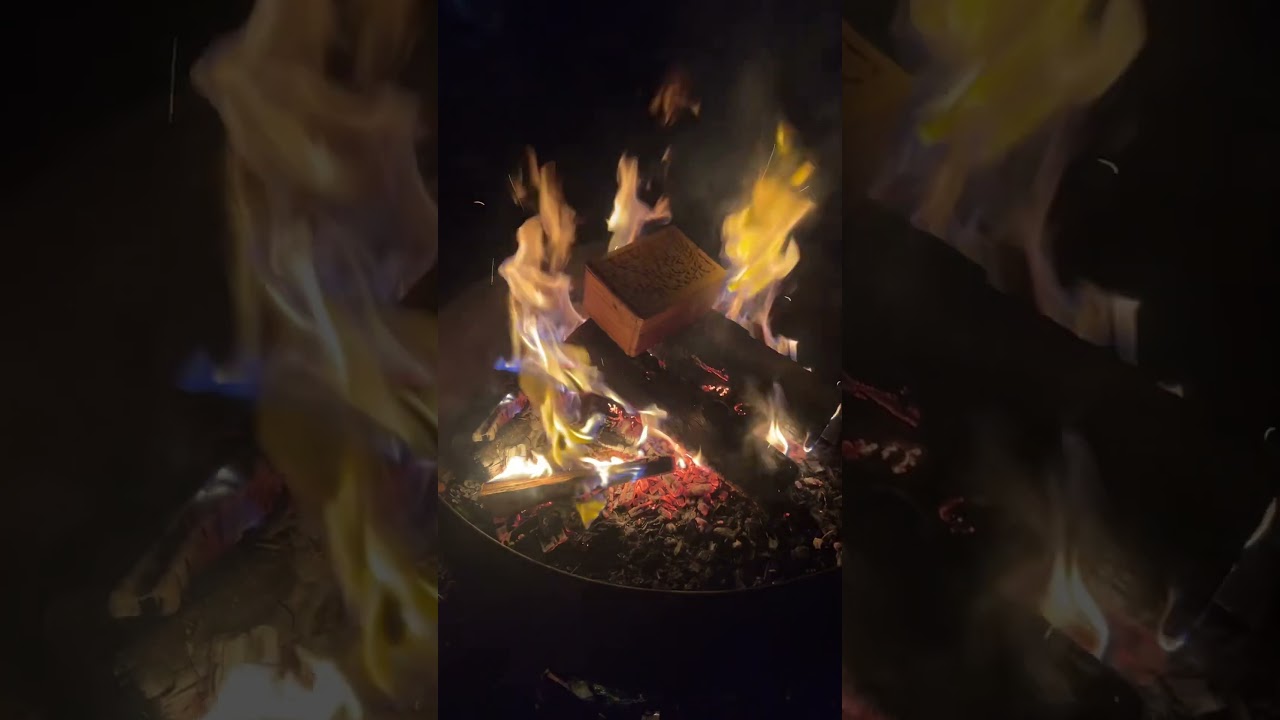 Honoring the Bond: My Wolf, My Companion 