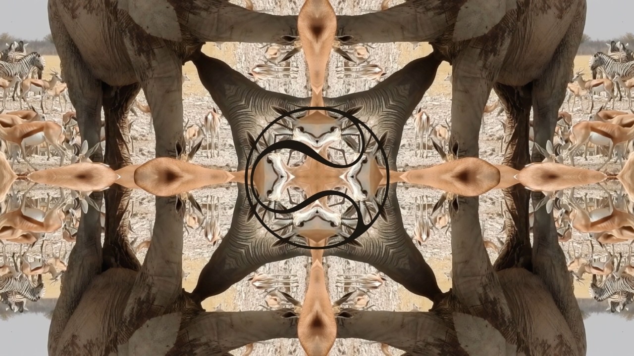 SHTUBY - BE - Full Album