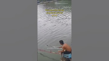 Thiếu kiên nhẫn thế này cũng đòi làm cần thủ 😂 #cauca #haihuoc #vuive #giaitri #cuoisacsua #haha