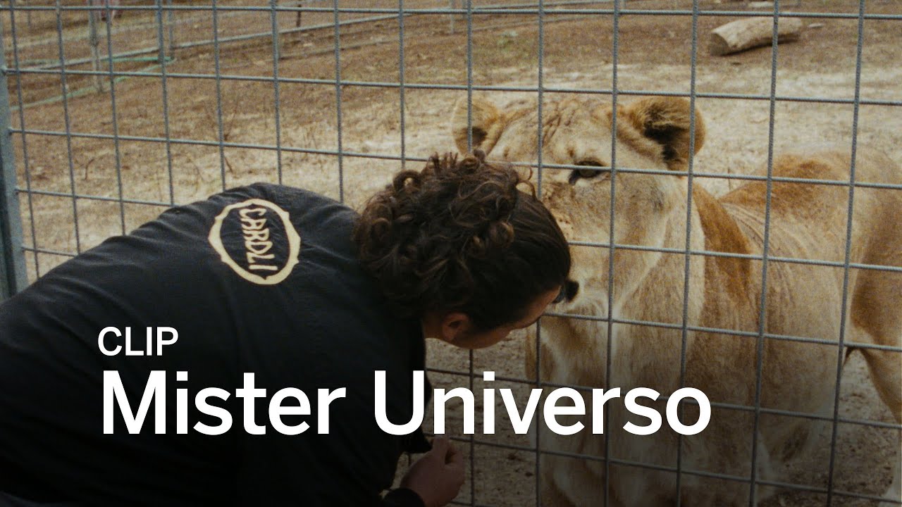 family friendly resorts MISTER UNIVERSO Clip | Festival 2016