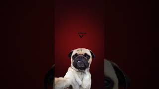 Download Lagu December 28, 2025 MP3