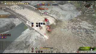 bdo montage pvp mystic & warrior