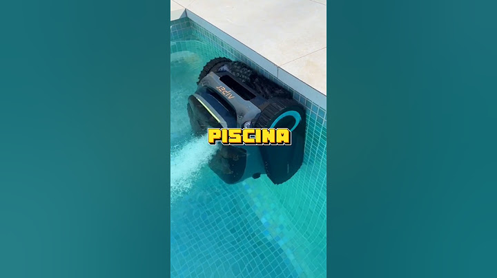 Los mejores inflables para piscina 🛝👙💧