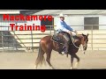 Horse Training with a Hackamore (Bosal)