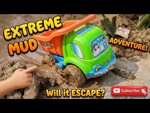 Kids Entertainment | Colorful Toys | Colorful Learning Toys @toysandcolors @chatpattoytv 