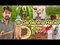 Diy 15 gardening hacks you must know  bougainvillea grafting tulsi plant and more part3