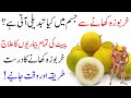 Health benefits of melon kharboza  kharboza khane ke fayde  islam advisor