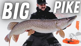 Tip-Up Ice Fishing for BIG PIKE (How to: step-by-step)