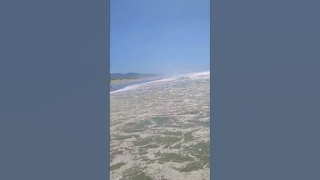 🏖️🐚🌊Beach Transitions Part 2!🌊🐚🏖️#transition #beach #beachvibes #trend