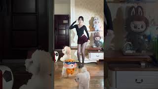 The puppy wants to learn to dance, too. #dog  #pets #dance